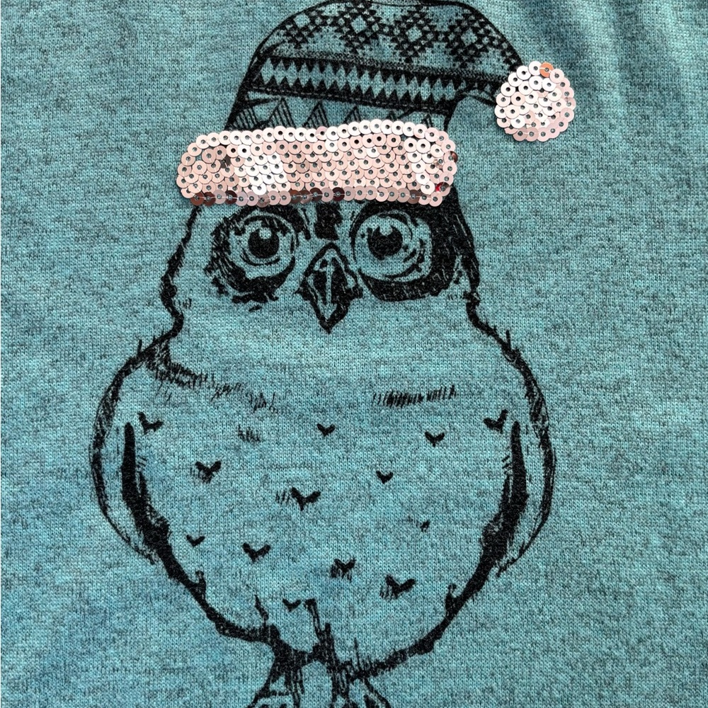 Faded Glory Blue Graphic Sweatshirt